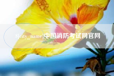 内江中国消防考试网官网