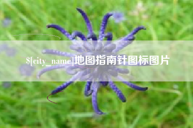 内江地图指南针图标图片