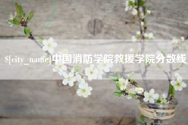 内江中国消防学院救援学院分数线