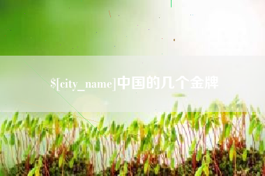 内江中国的几个金牌