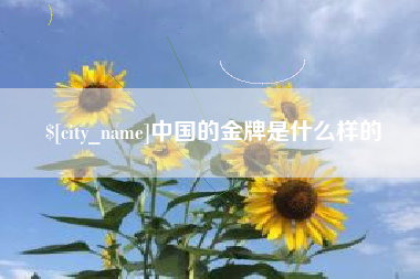内江中国的金牌是什么样的