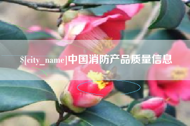 内江中国消防产品质量信息