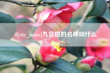 内江九宫格的名称叫什么
