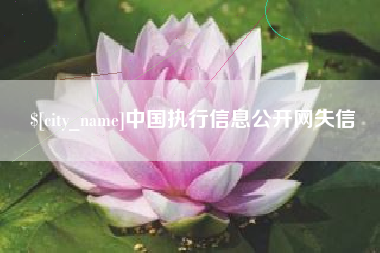 内江中国执行信息公开网失信