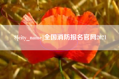 内江全国消防报名官网2021