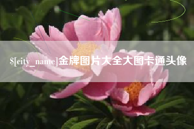 内江金牌图片大全大图卡通头像