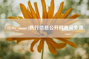 内江执行信息公开网查询免费