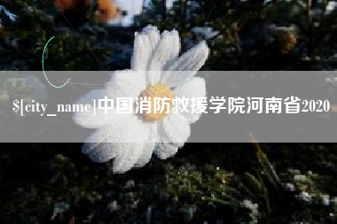 内江中国消防救援学院河南省2020